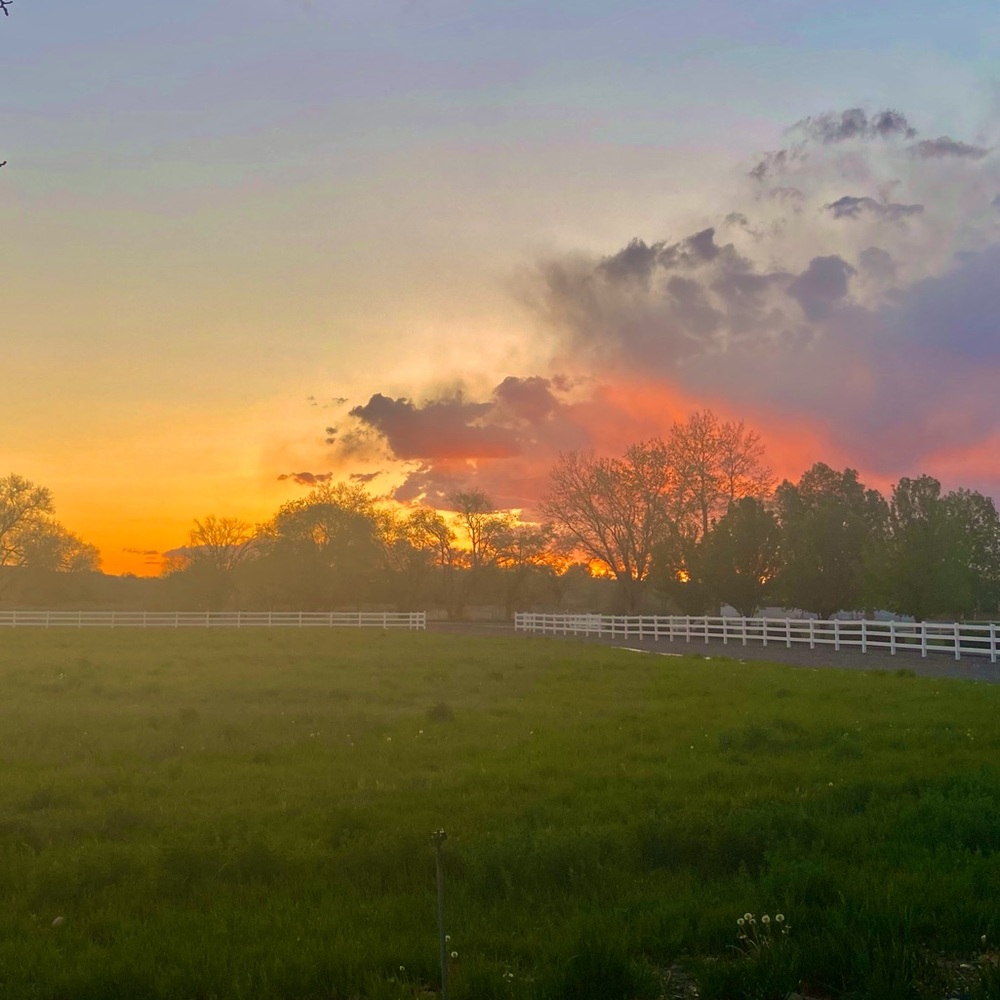 First buyer gets discounted shipping!